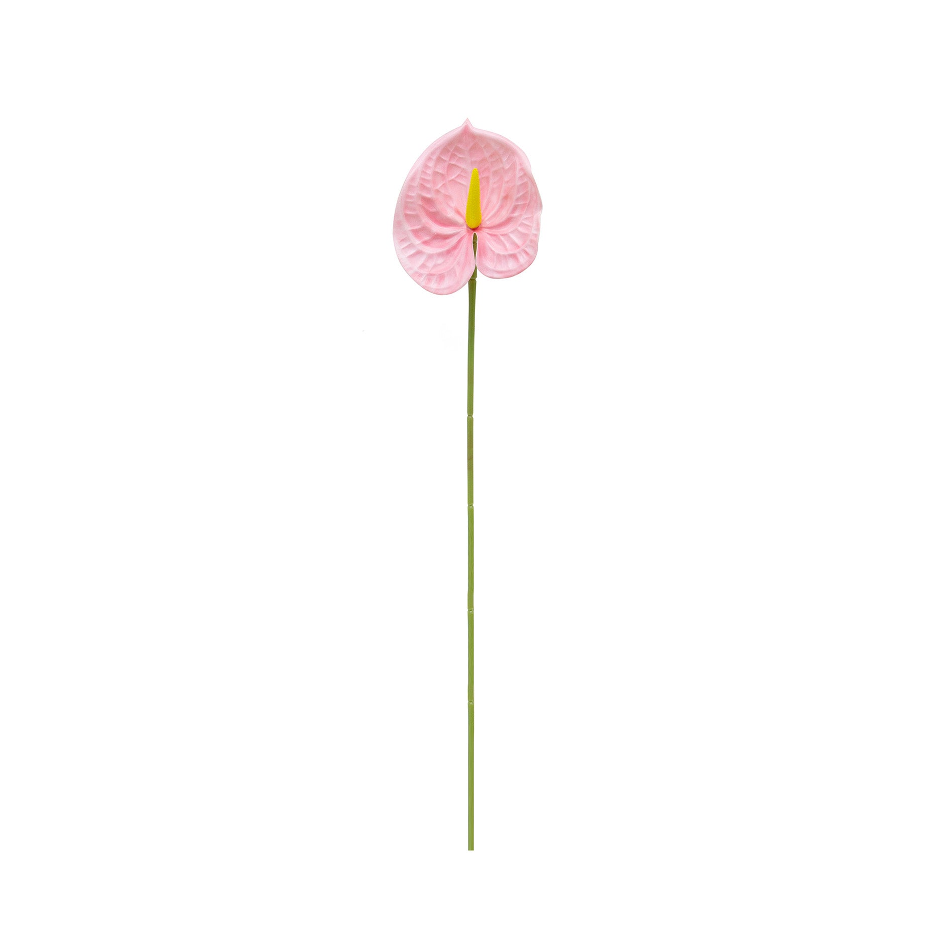Künstliche Flamingoblume